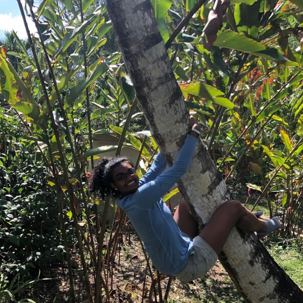 Christa Fernando grabs a tree in Belize.